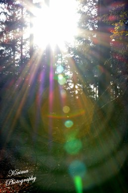 Logo kosm oorspr met Kir Pho